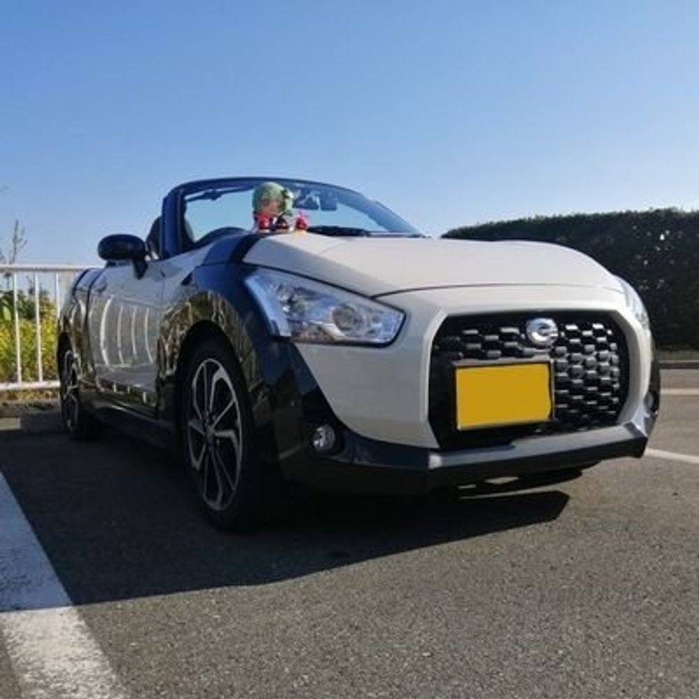 早苗推しでコペン乗りのさなやん