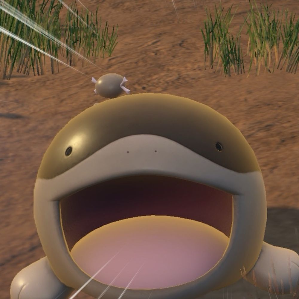 たらや
