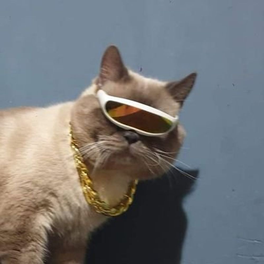 W4LSR