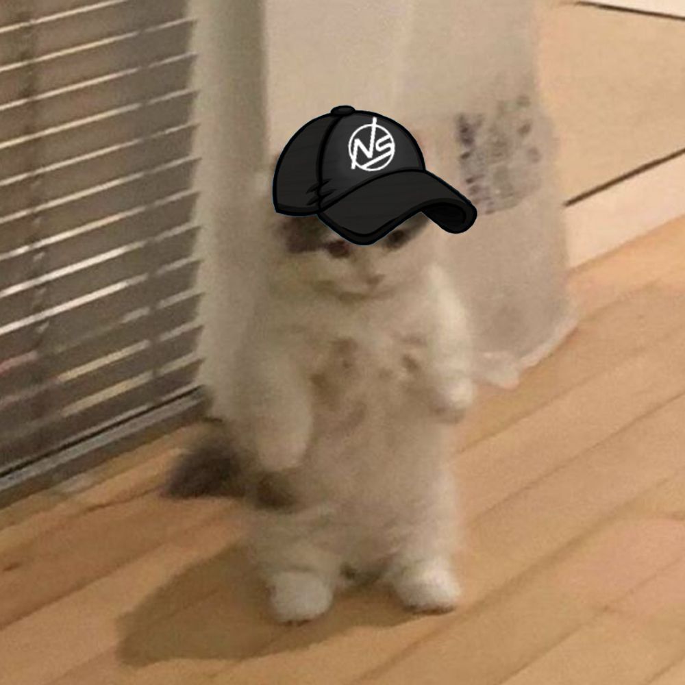 Neko