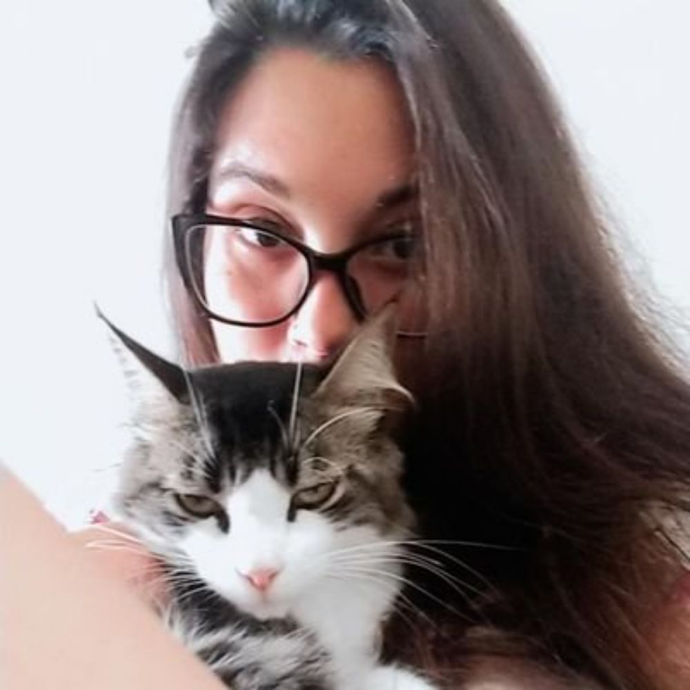 Cami vai defender o mestrado