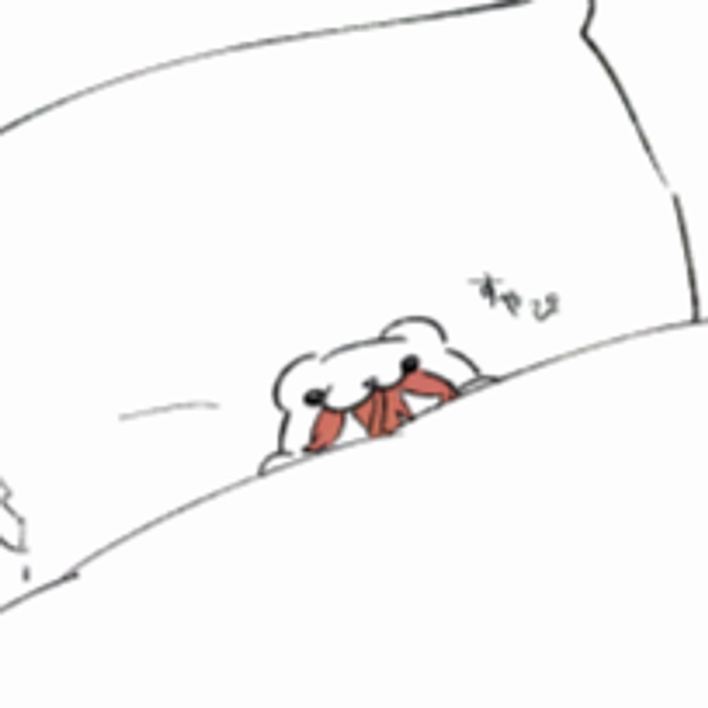 💤