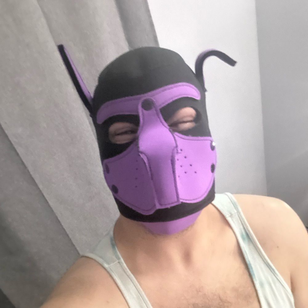 Pup Nervi