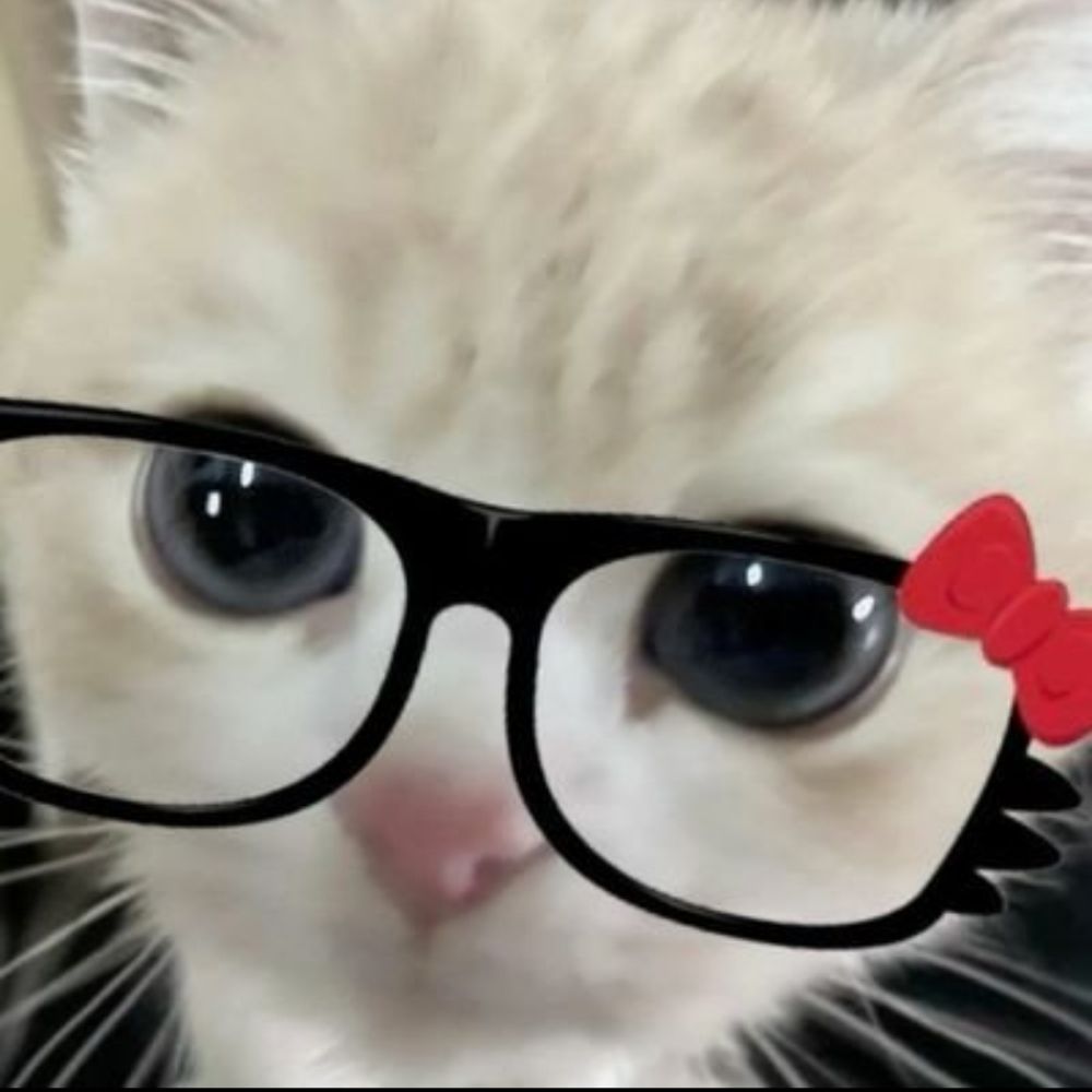 tifygtsz