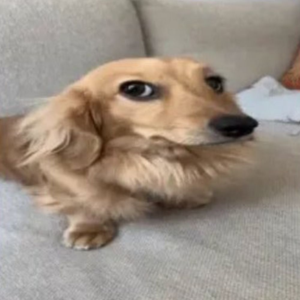 mi