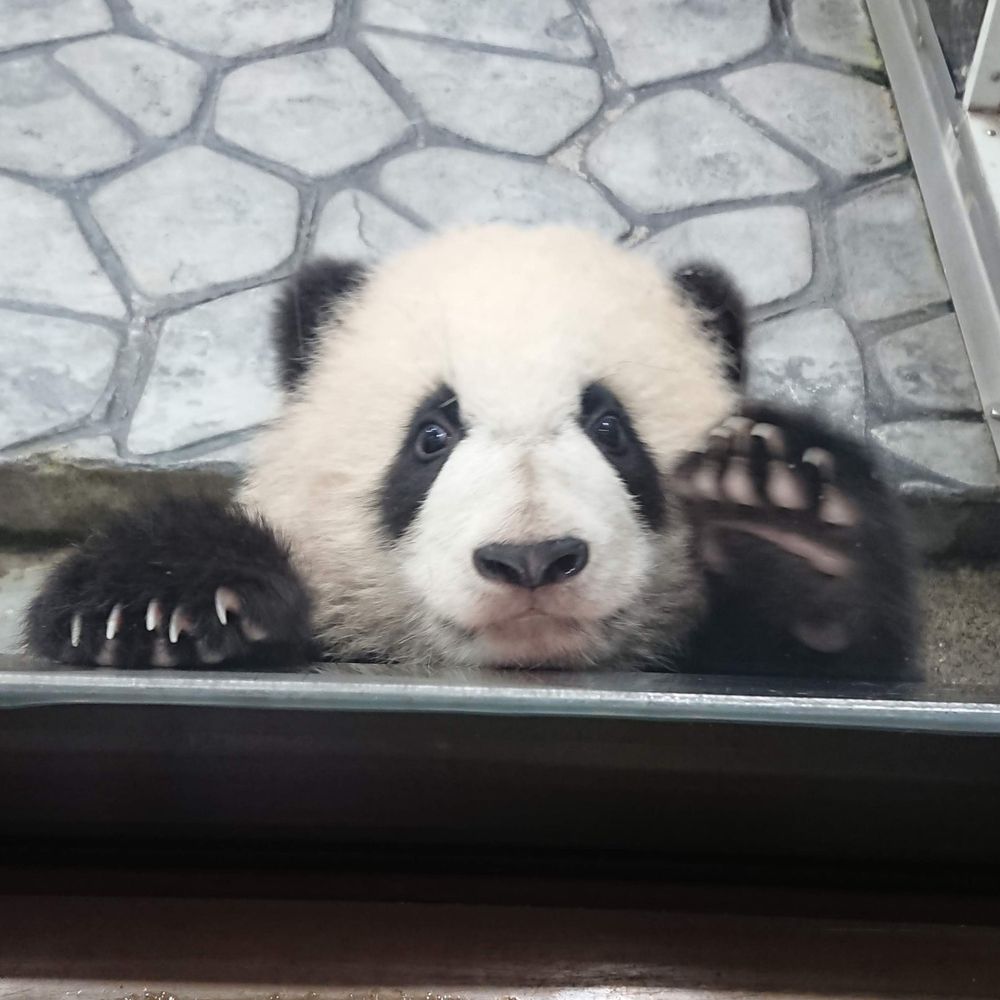 秋山生糸