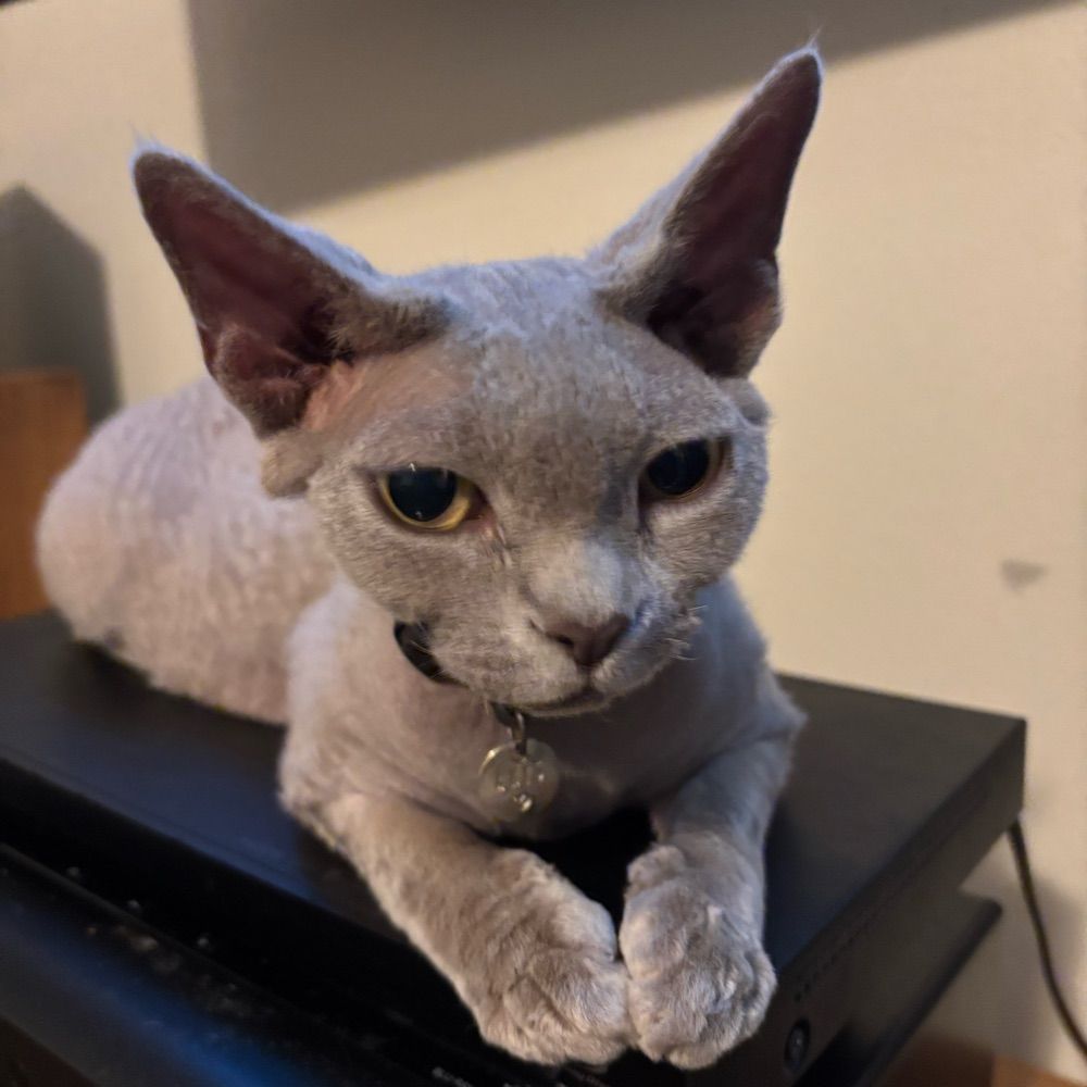 User avatar