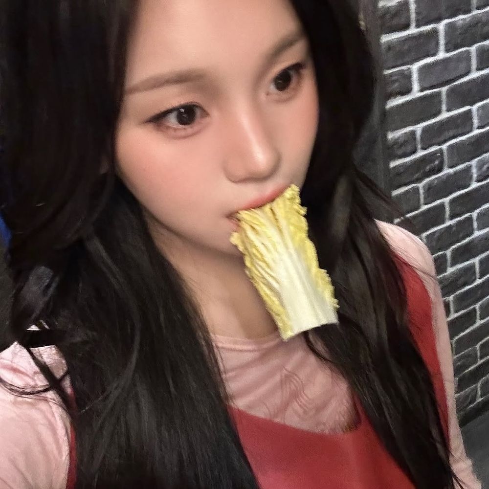 몿