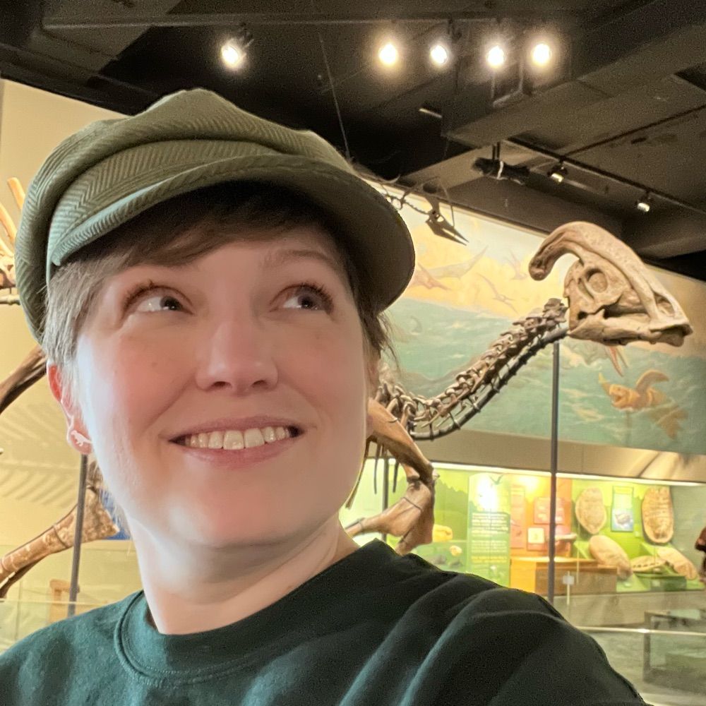 Mandysaurus