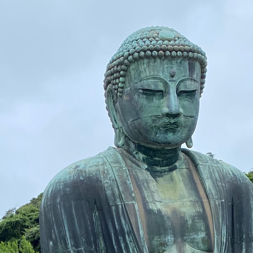 もぬけのから