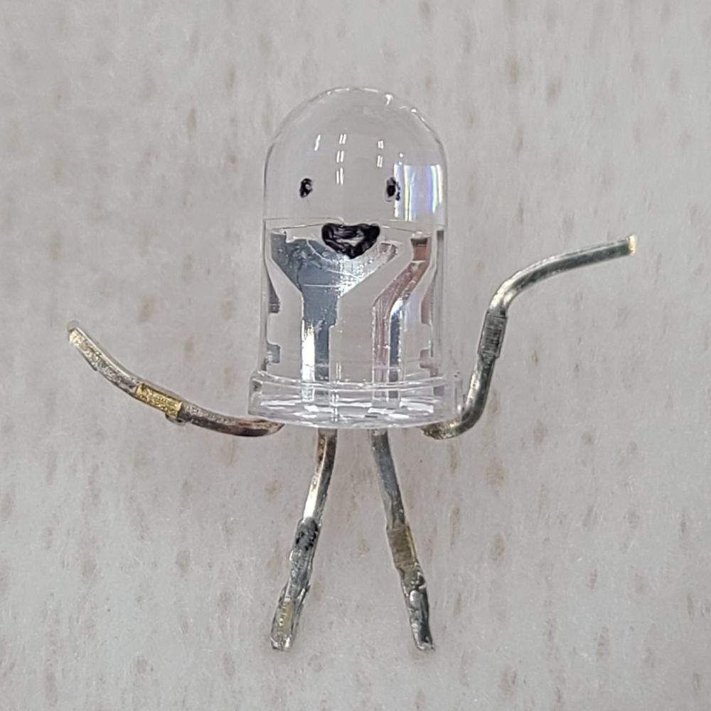 tasi🦀