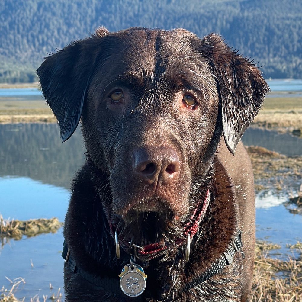 Landscapes with Finley