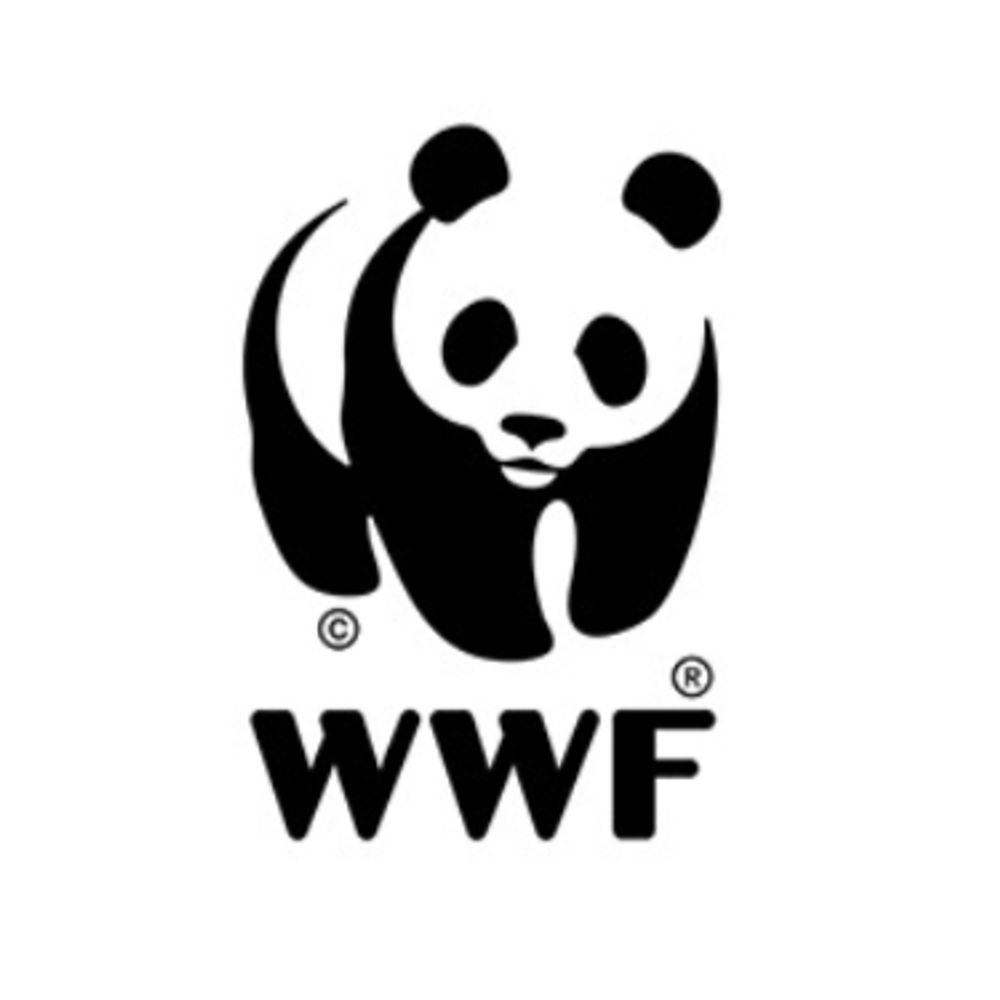 WWF Climate and Business