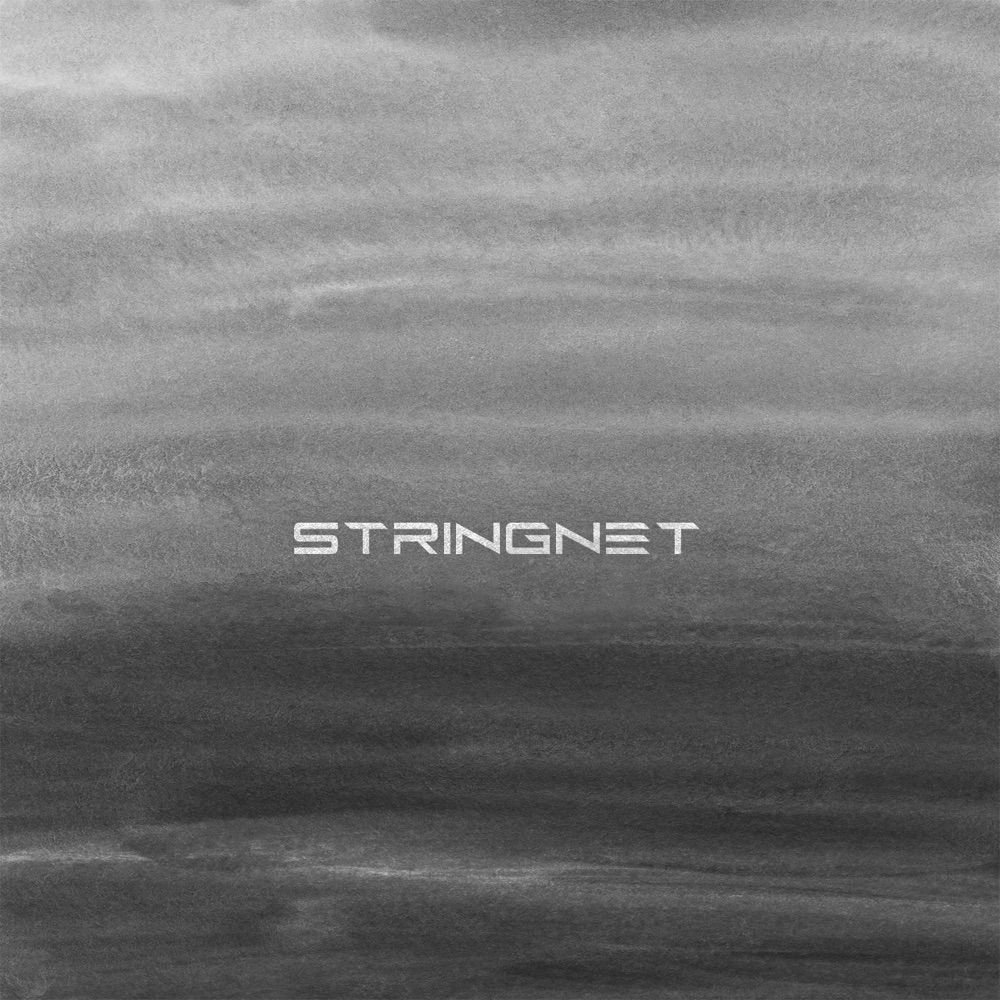 Stringnet