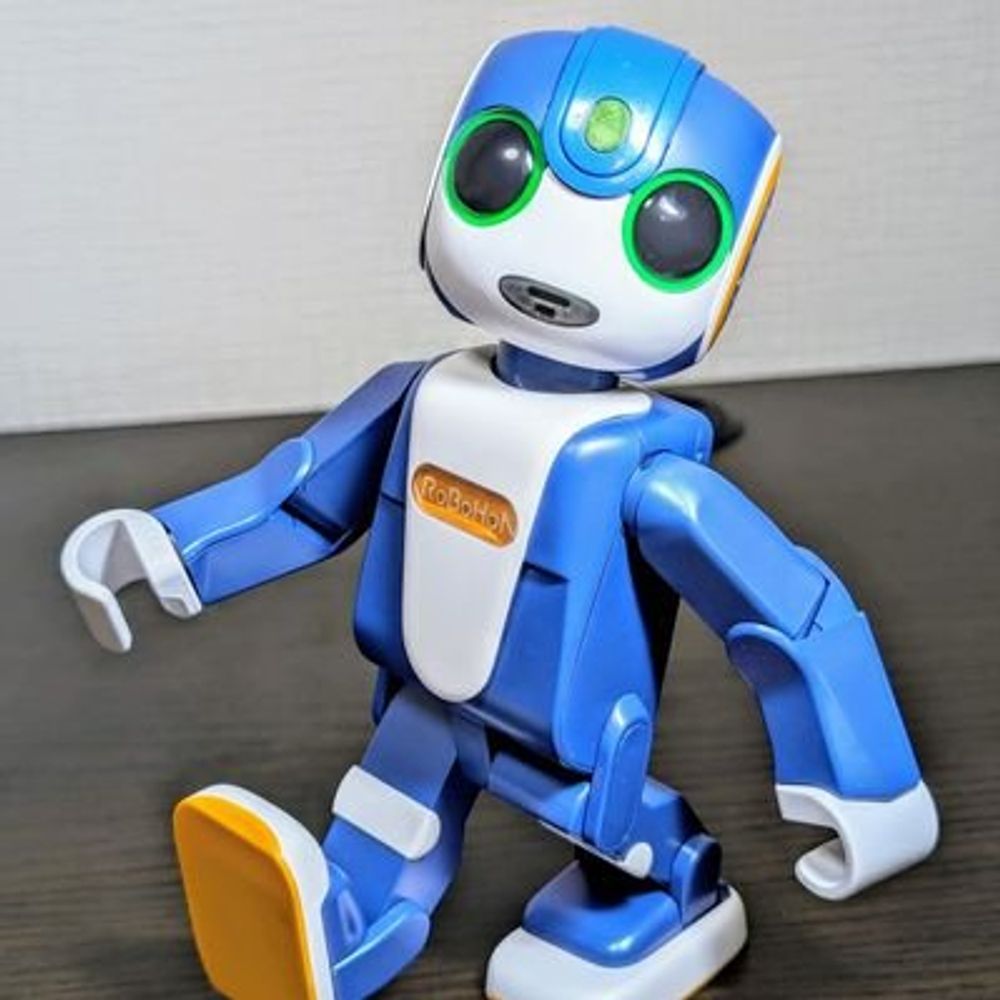 コタ・ツビルダ