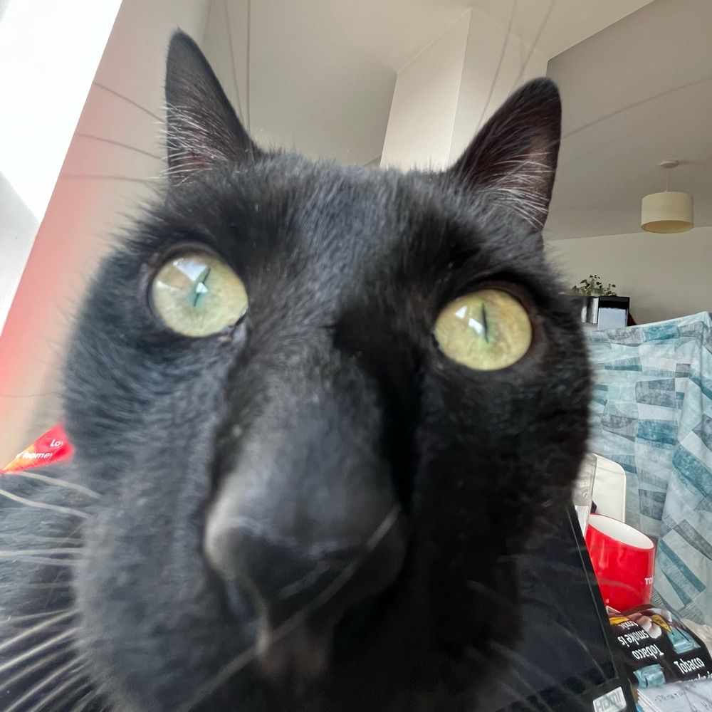 Dan
