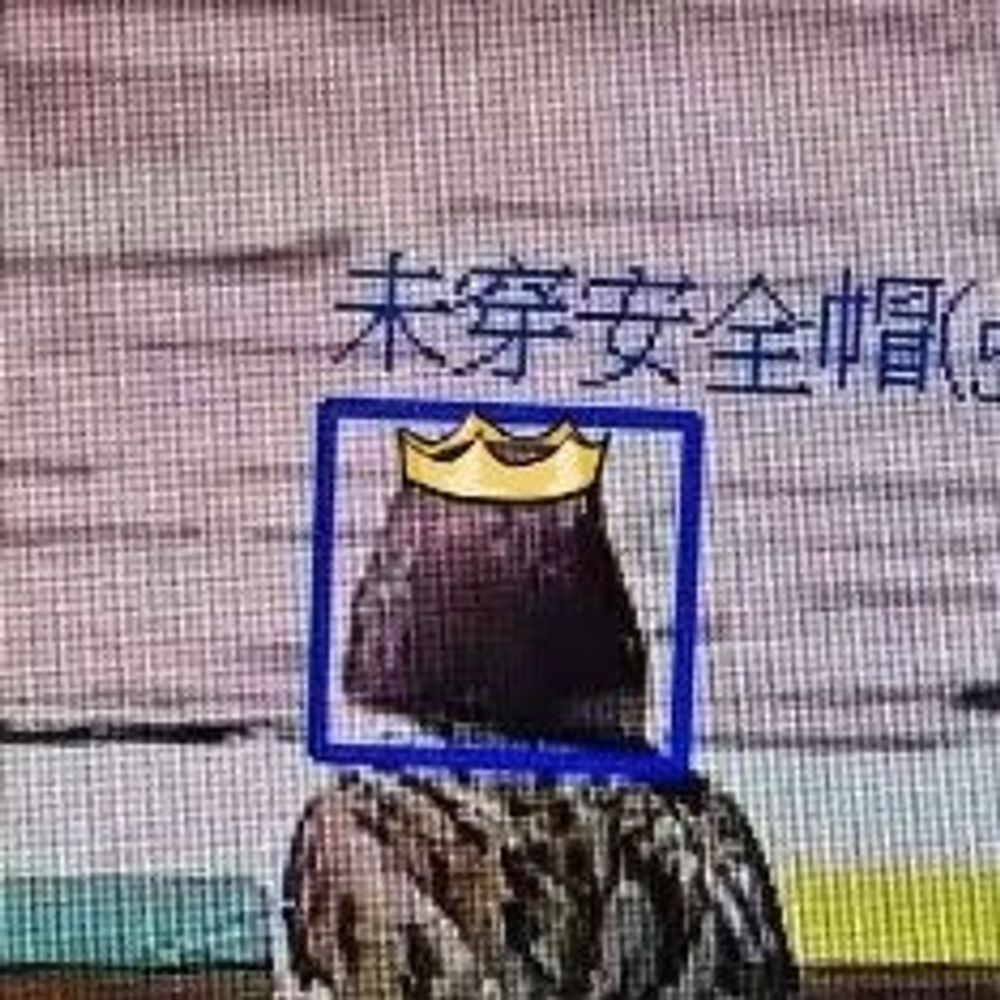 🐣麻醬👑未穿安全帽