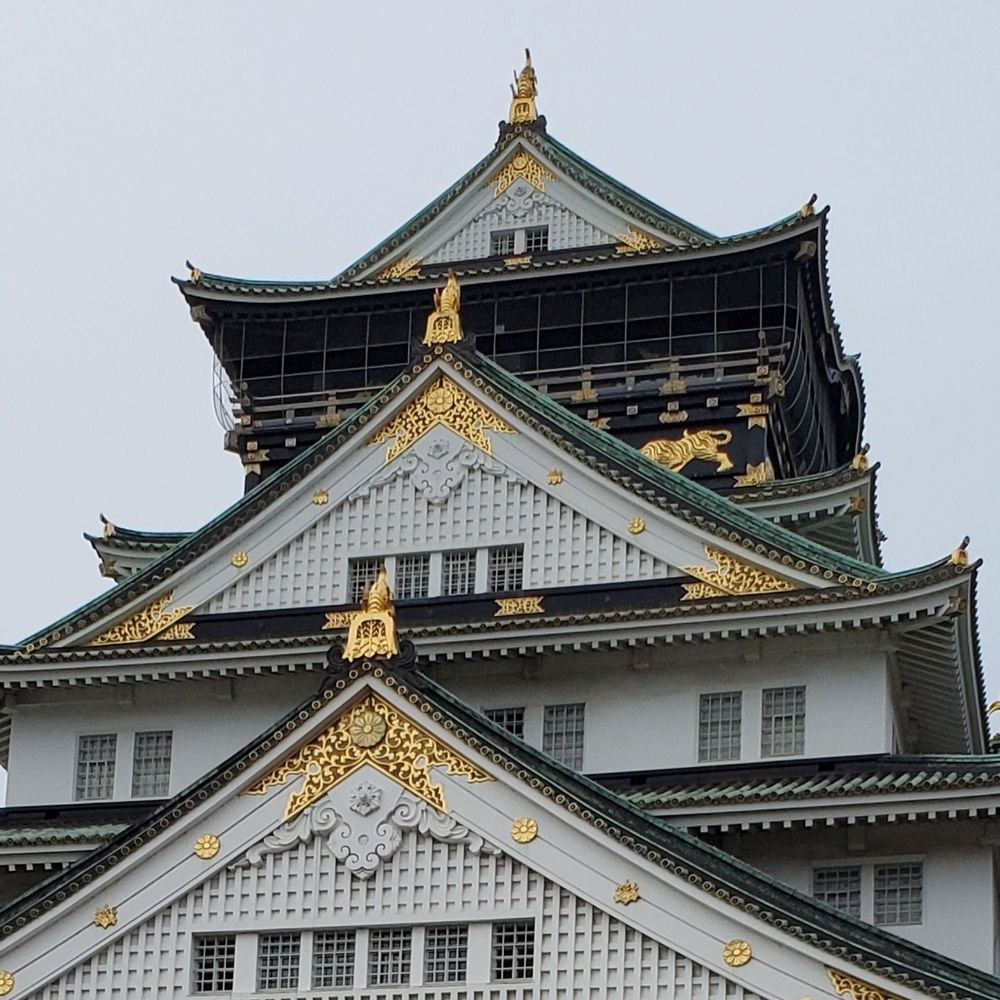 どもでーす