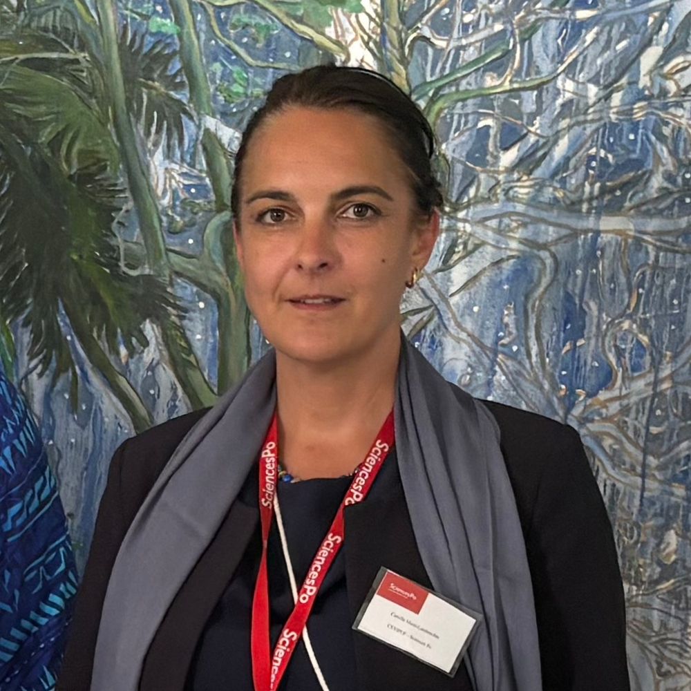 Camille Mazé-Lambrechts CEVIPOF Chaire OMEGA