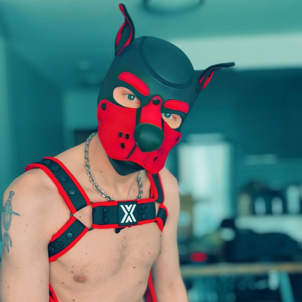 Pup.Amp_TO