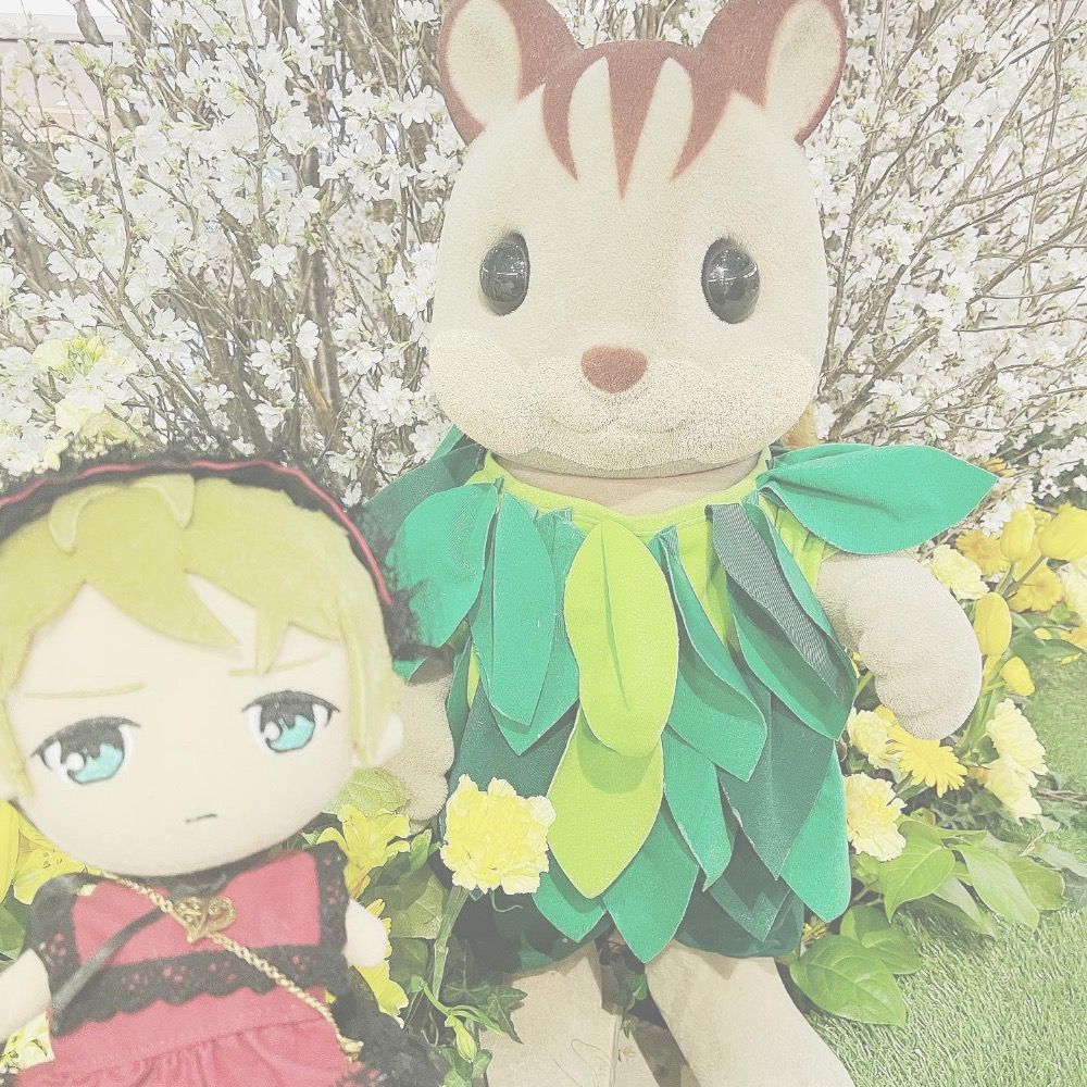 ぴょ！