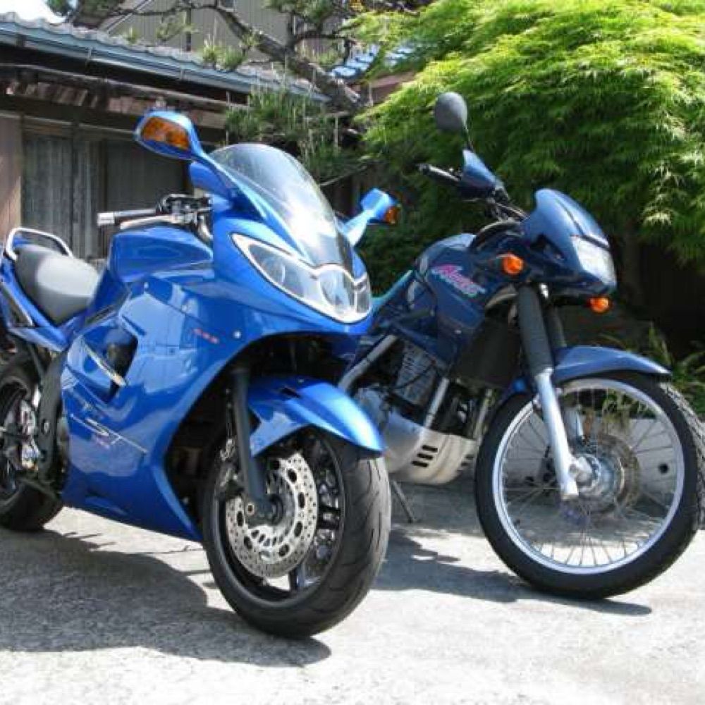 morimichi