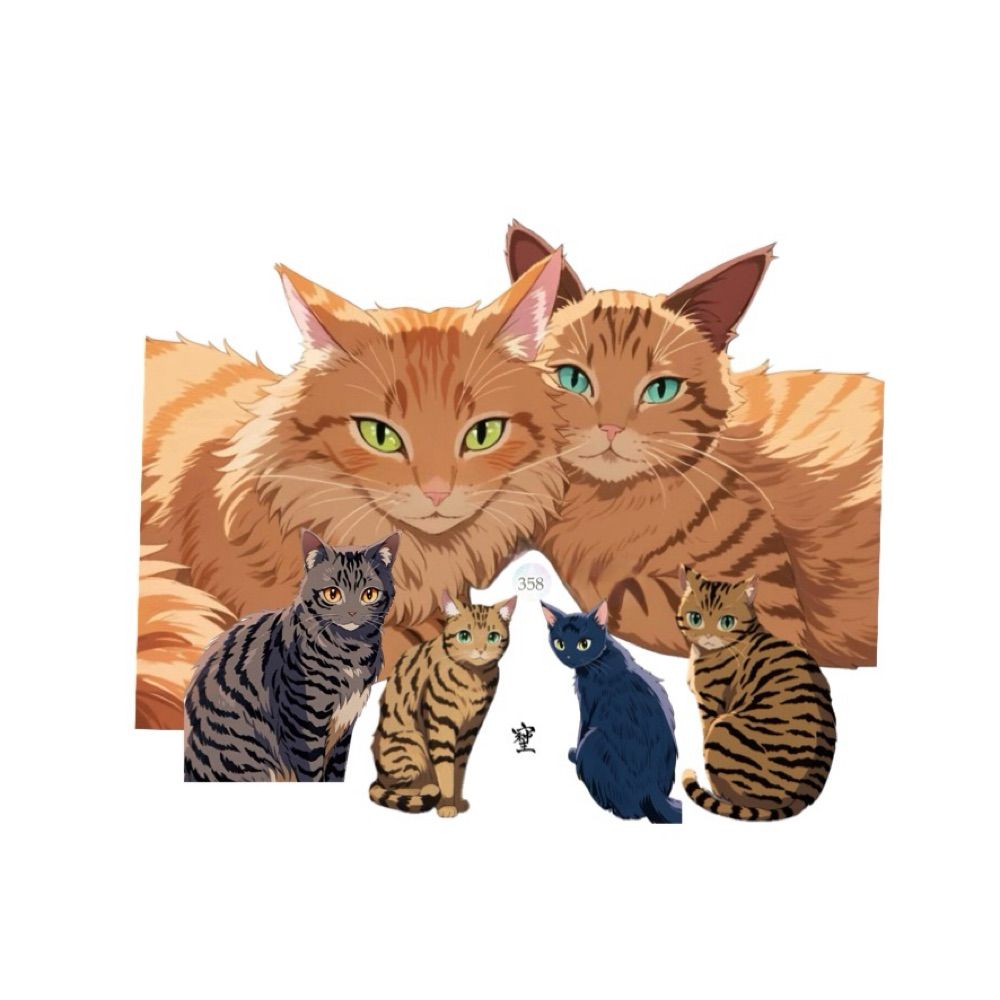 𝓎ℴ𝓊(猫ちゃん)
