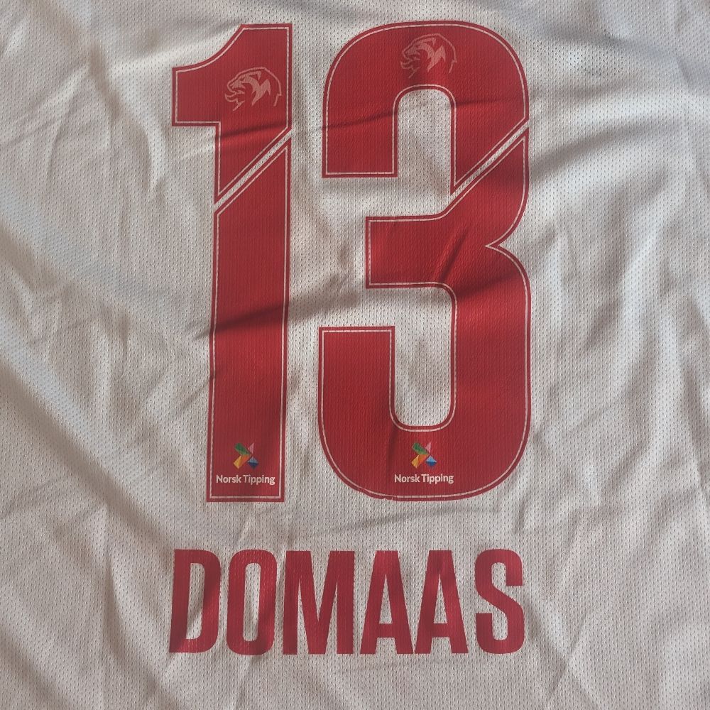 Mr. Domaas