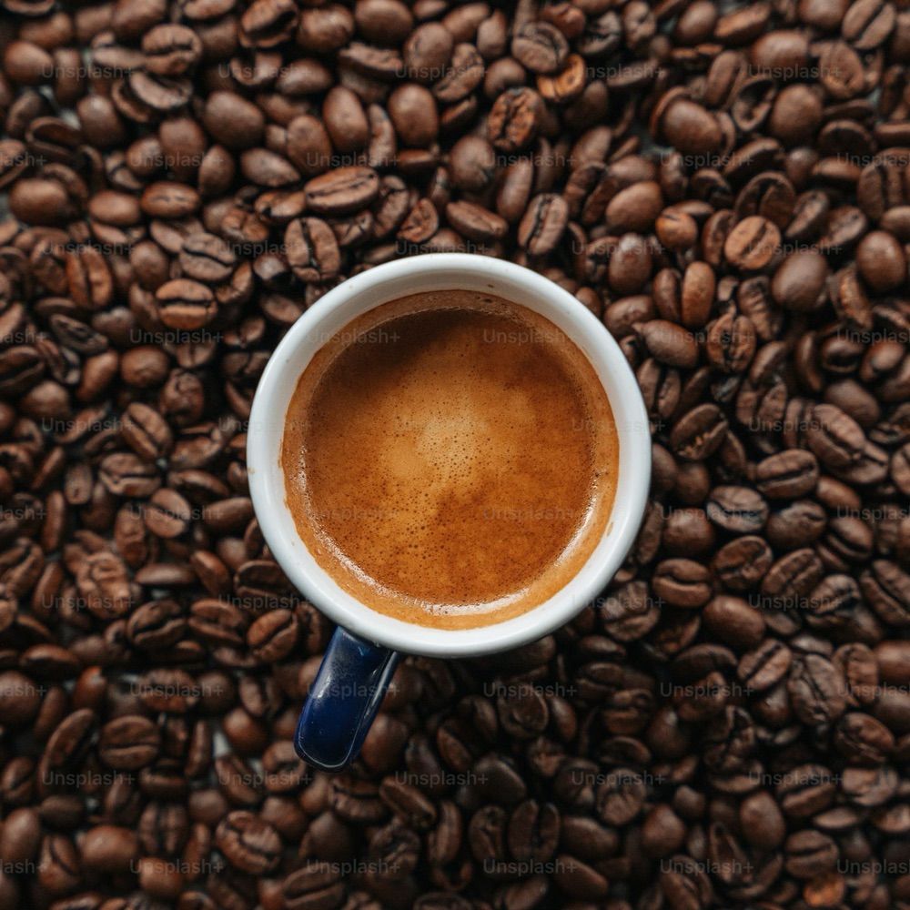 La Marzocco