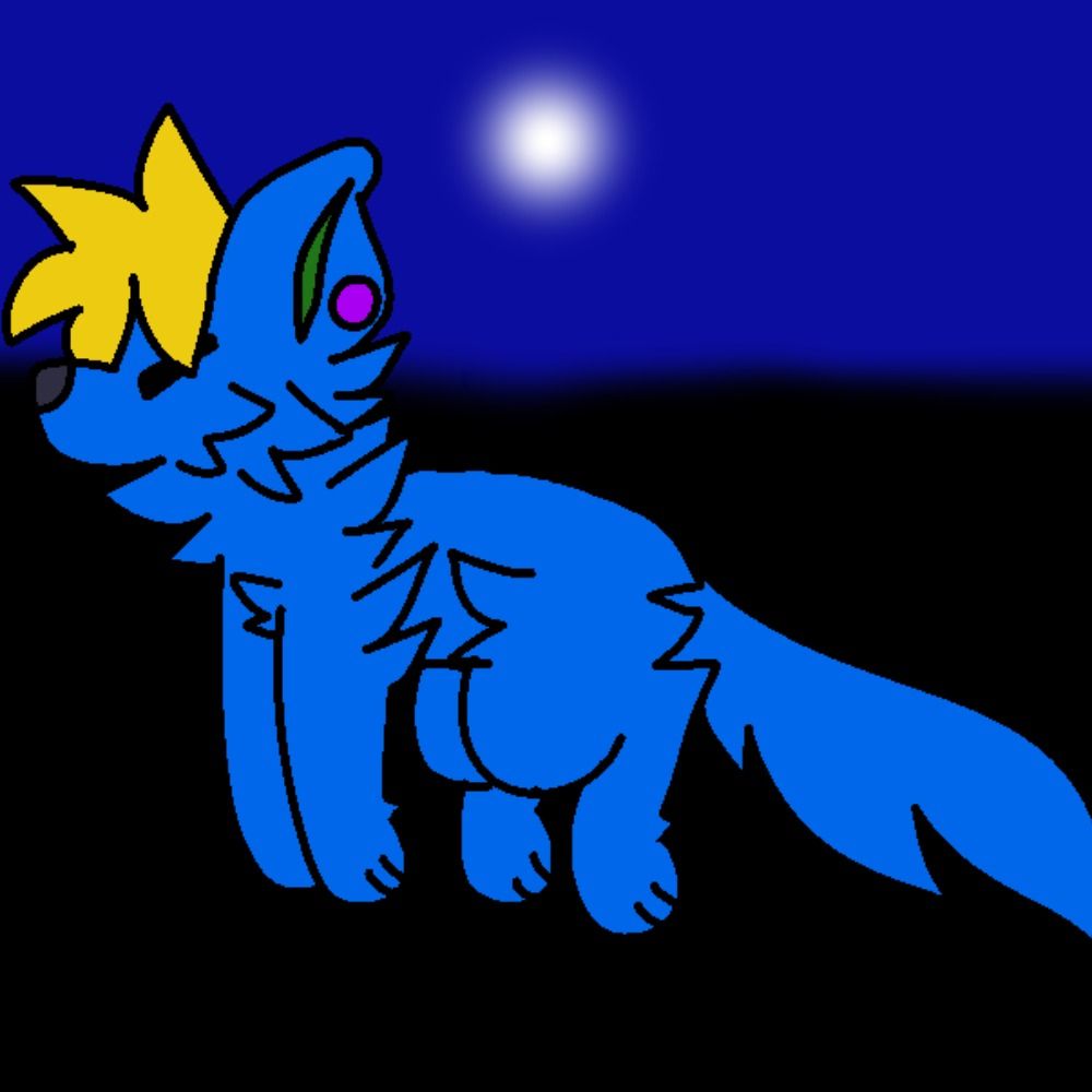 Safi