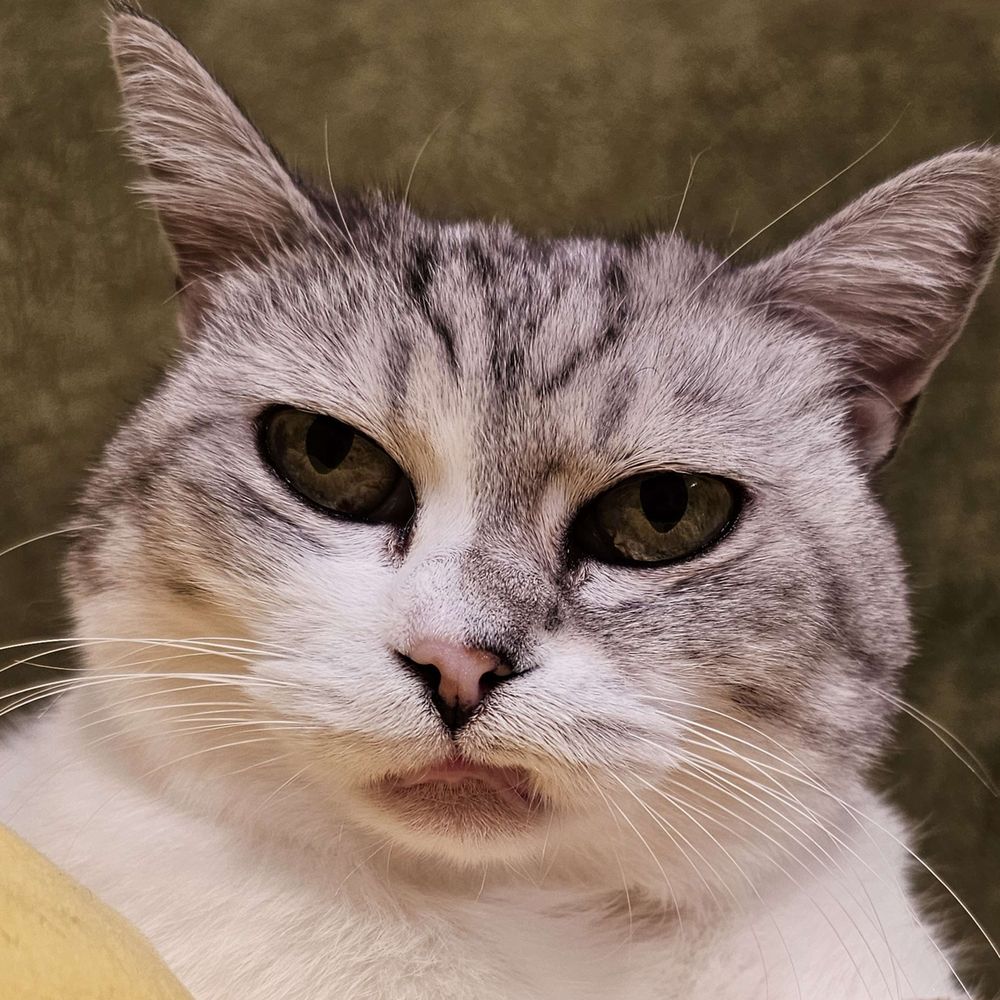 ほっし
