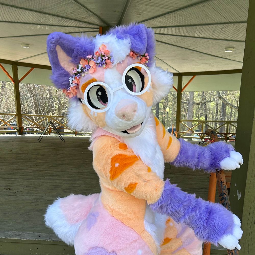 glimmeraussie.bsky.social