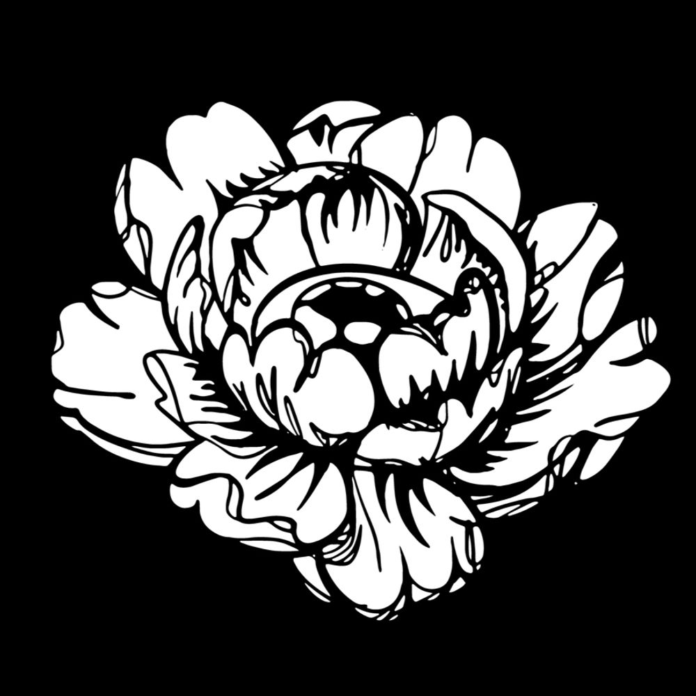 Bloom