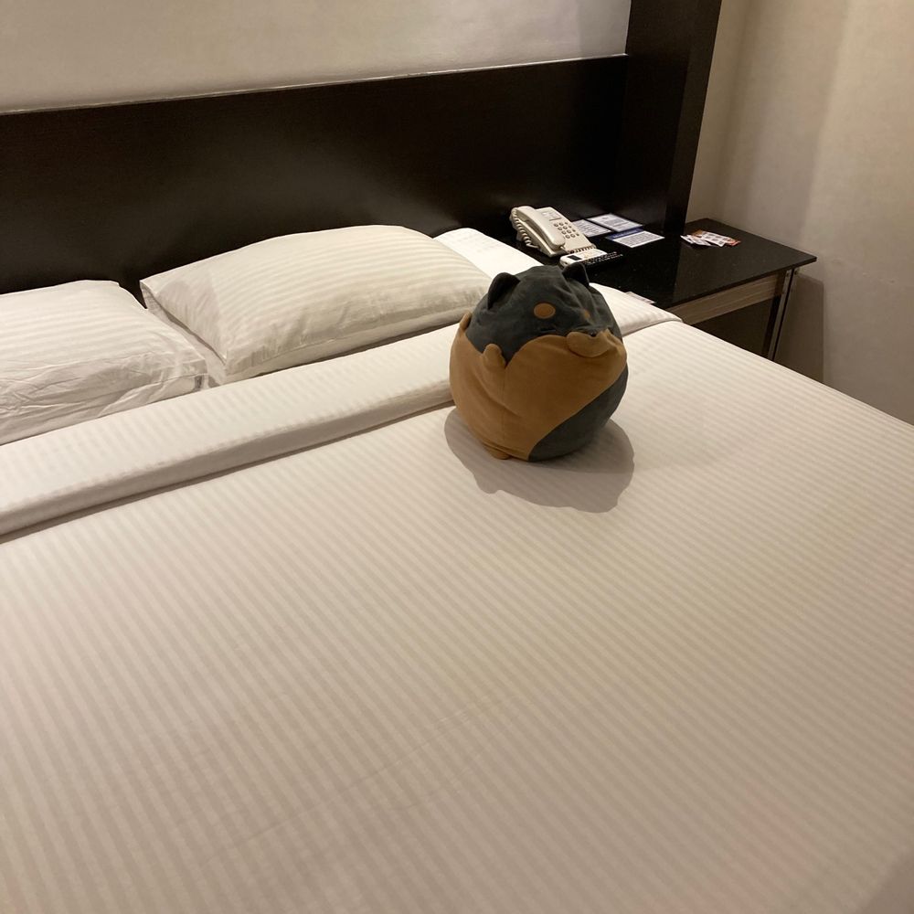 しょゆ