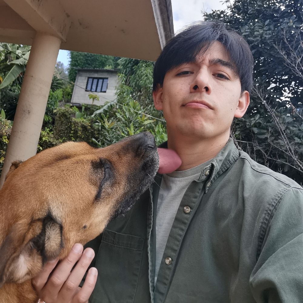 Ivan RO