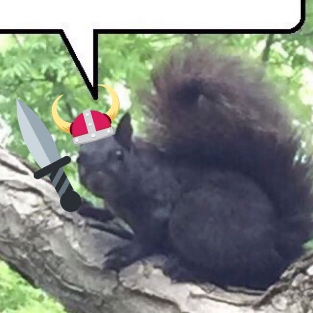 Ratatosk the Norse Squirrel God™️'s avatar