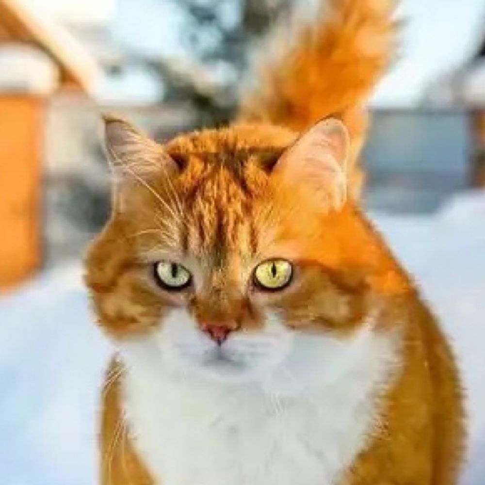 うひぃ