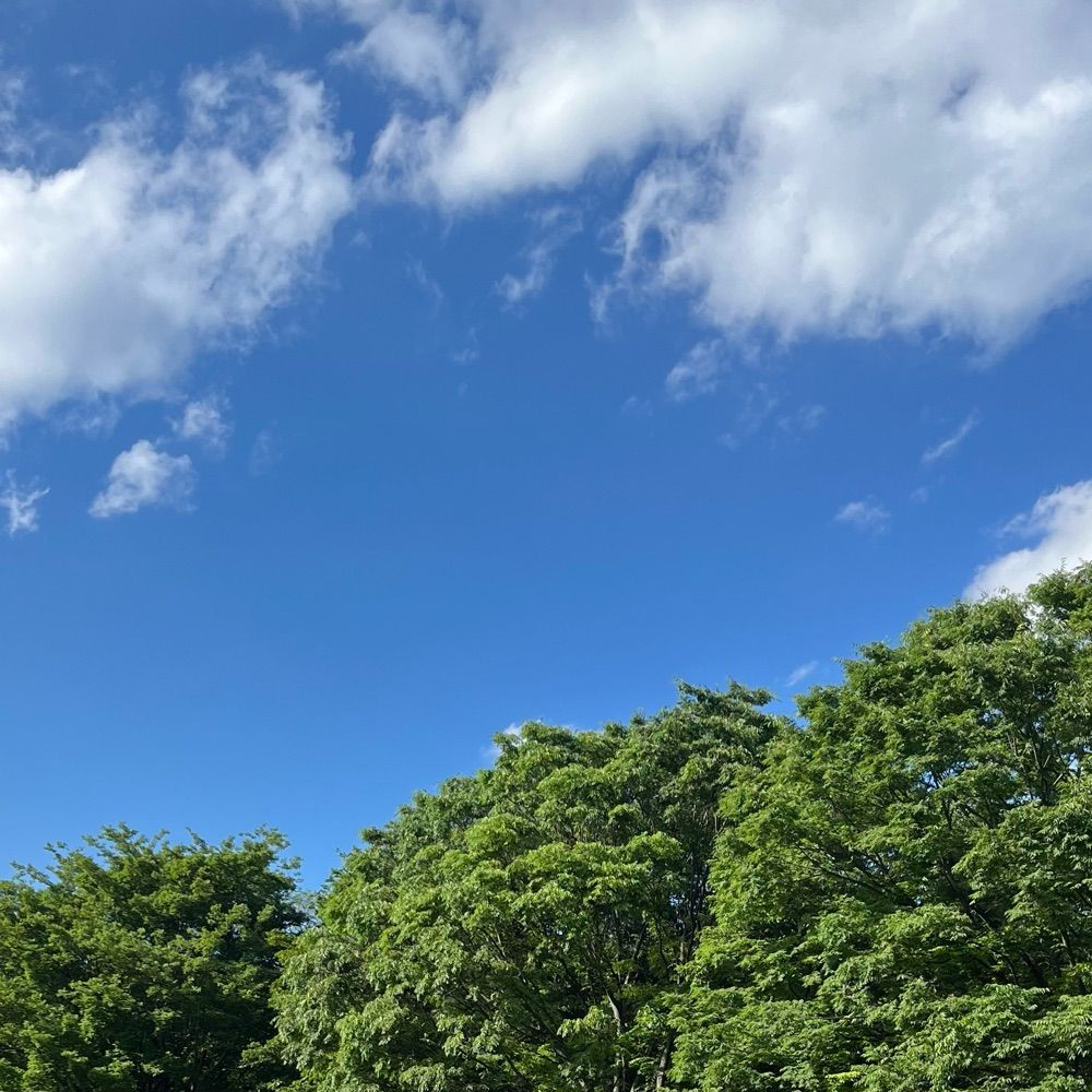 きらくぅ