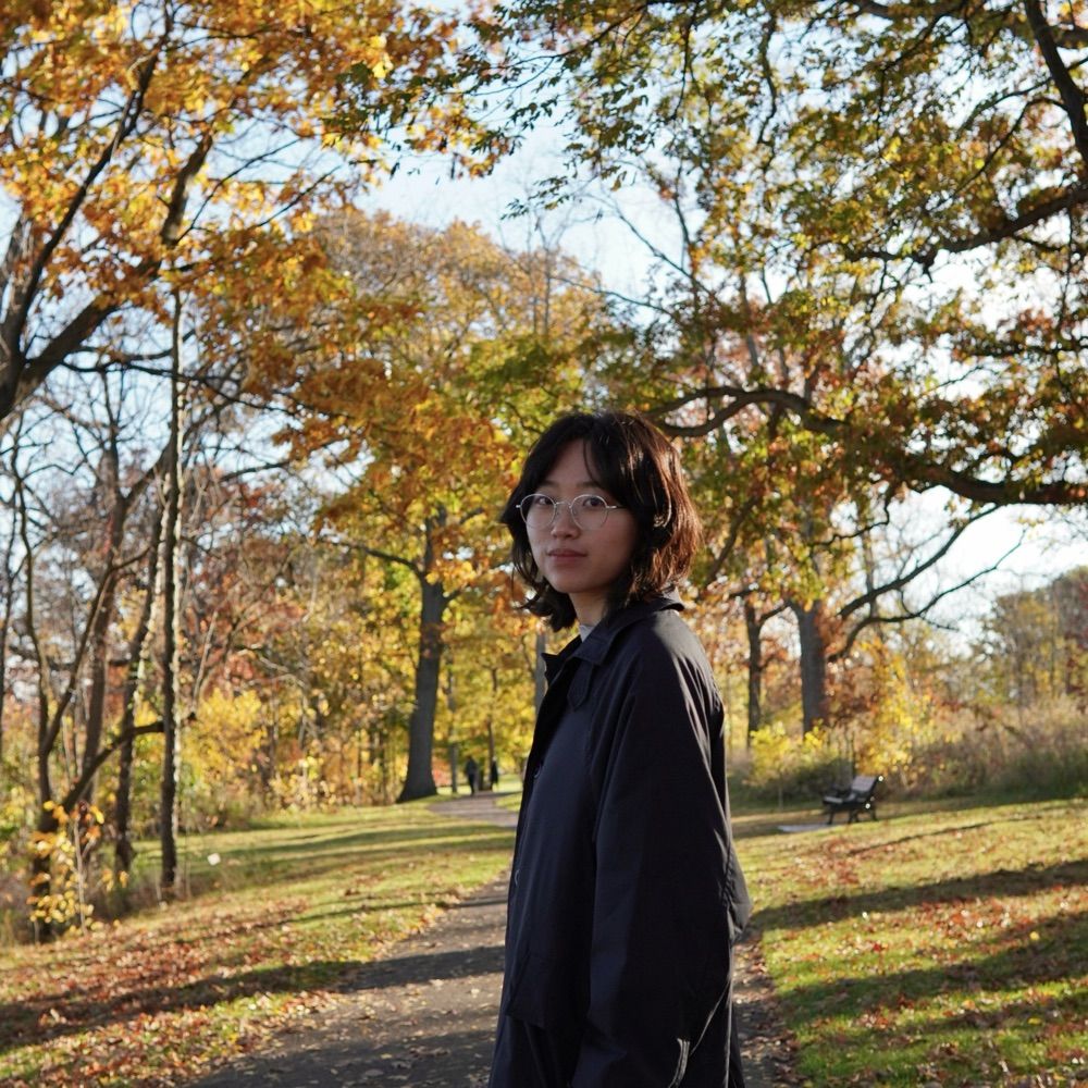 Jingwei Dai