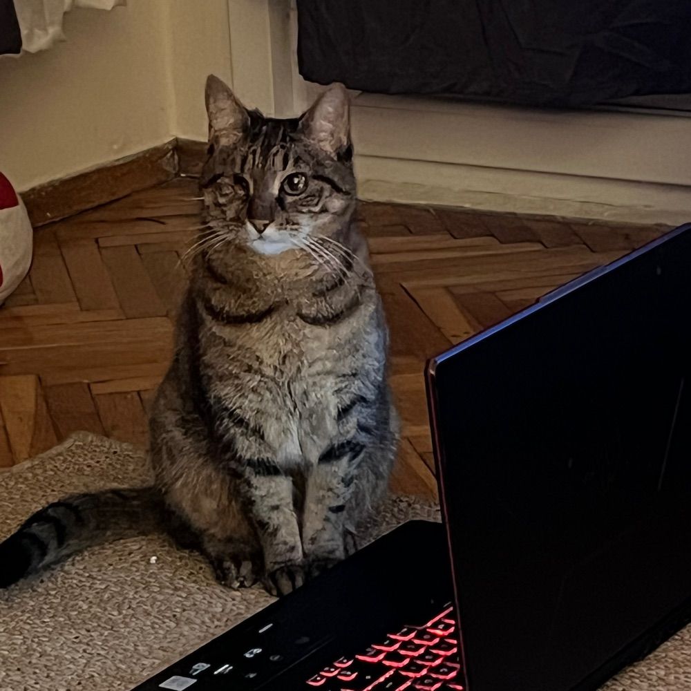 MagnetoCat