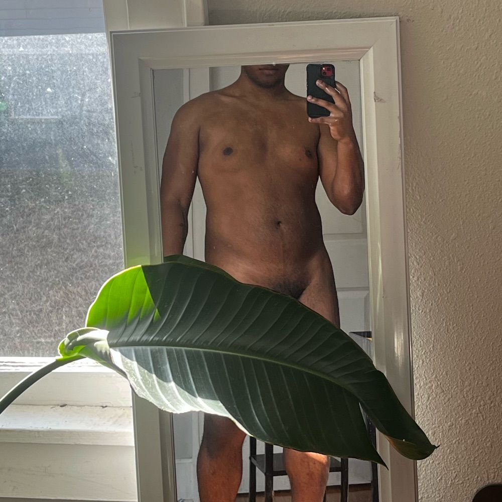 𓆩♡𓆪
