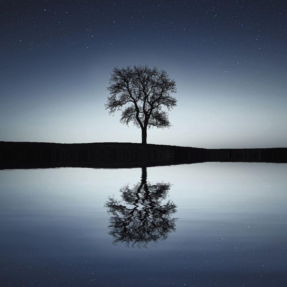Embracing Discomfort