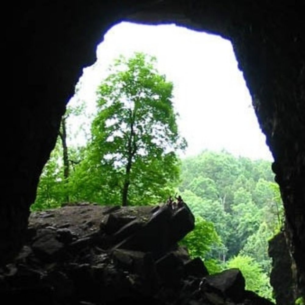 Cavin Jim