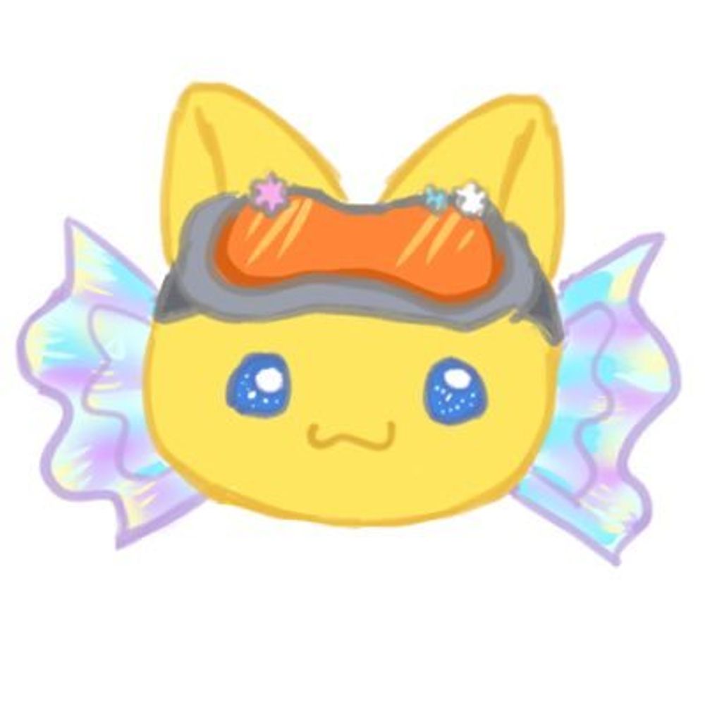 坎蒂CANDY
