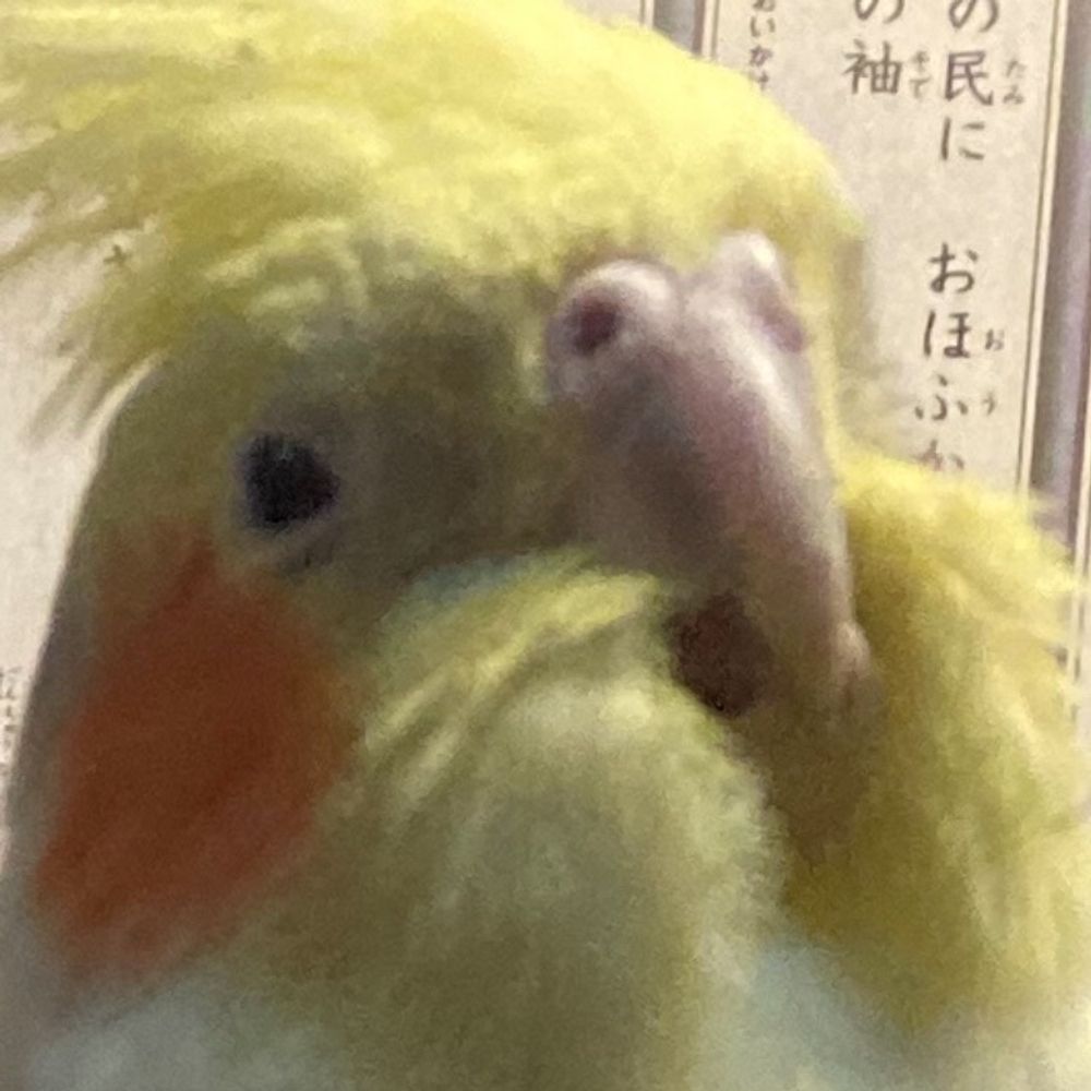 しるびあさん？