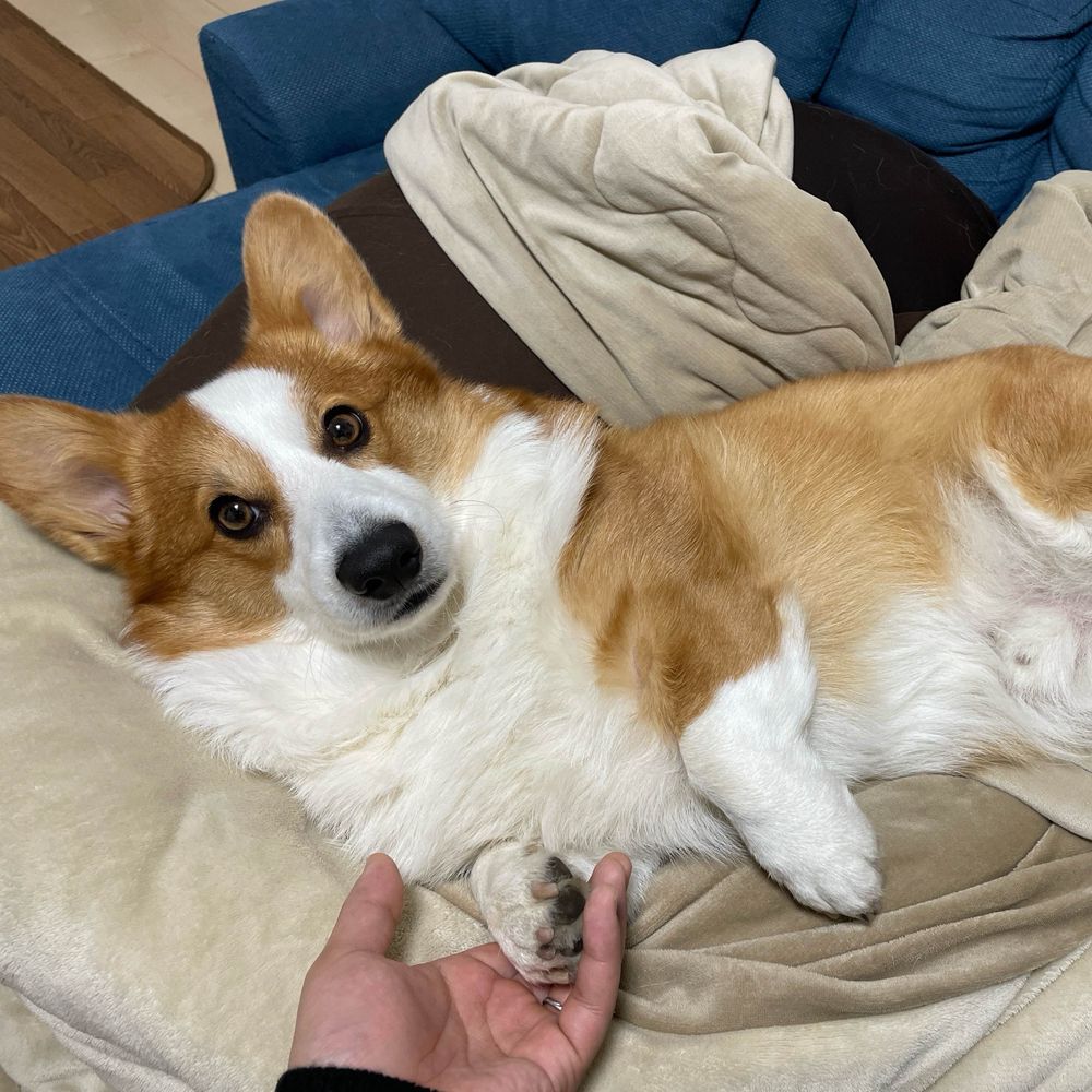 めりっく