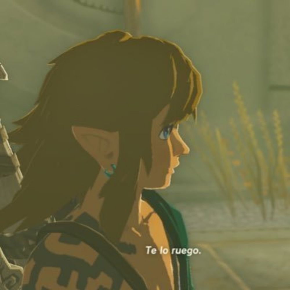 Saturn ZELDA: TOTK