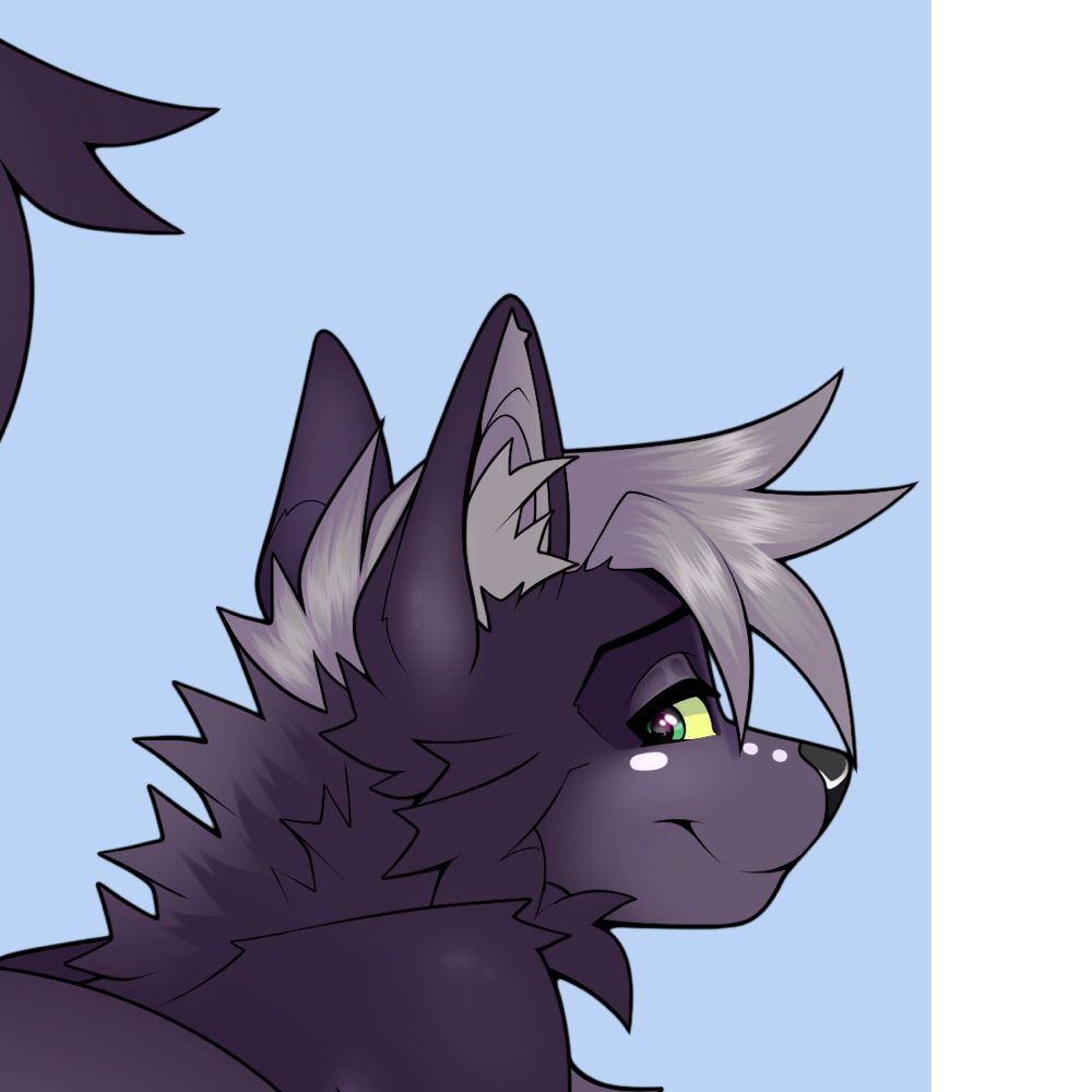 Moe the Wolf
