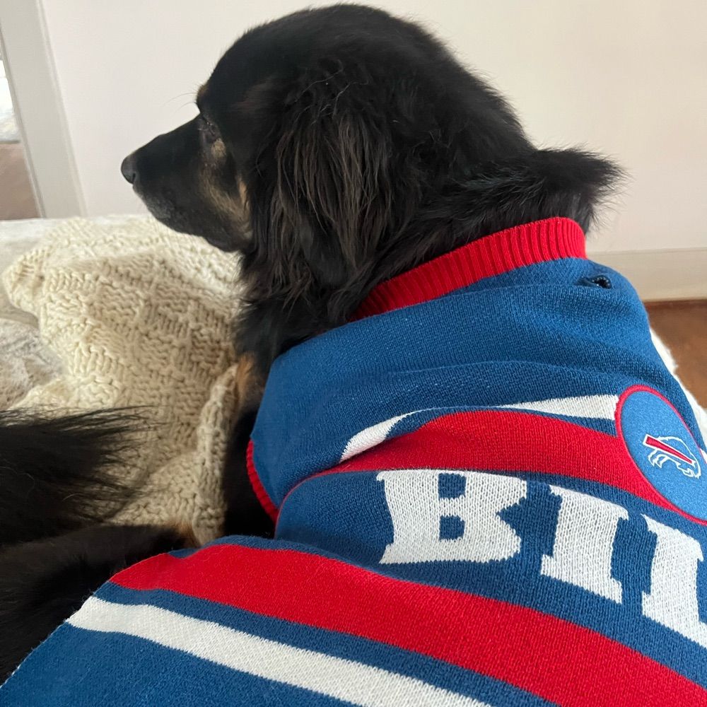 Megh Maur - Go Bills ❤️💙
