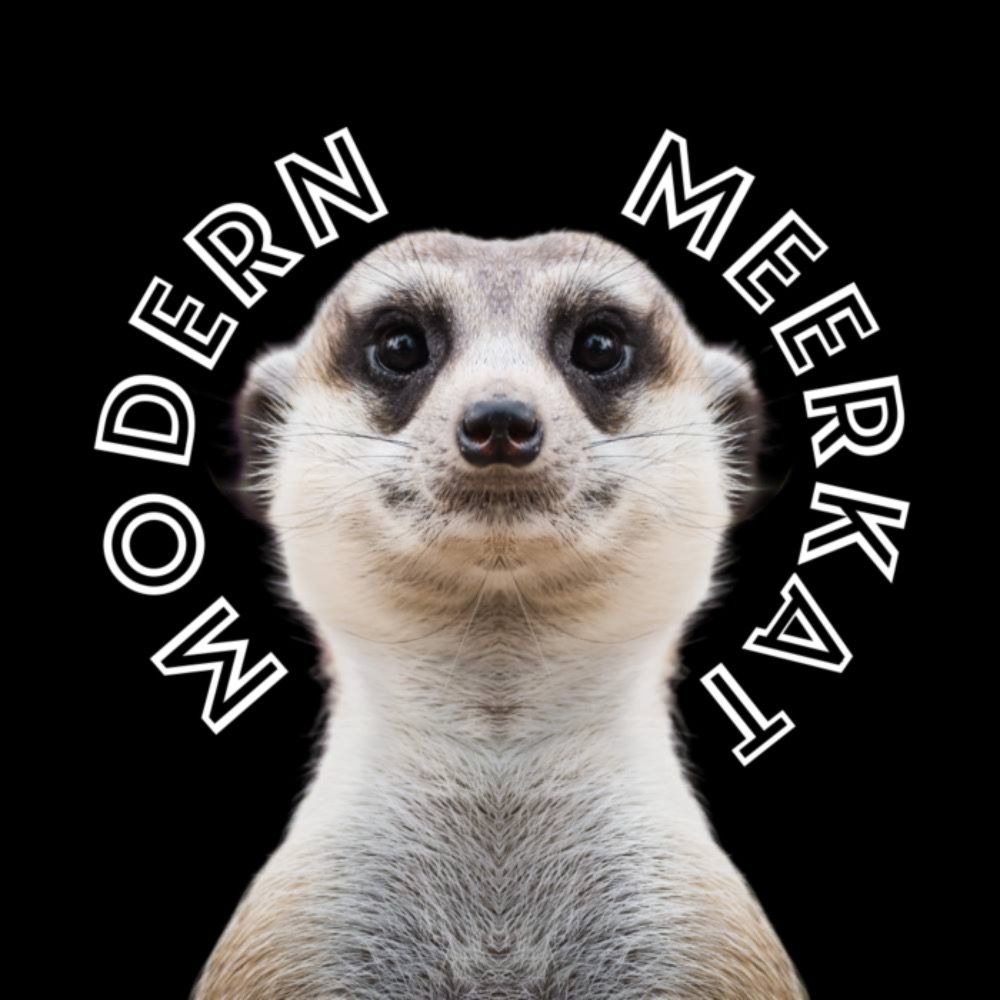 modern meerkat